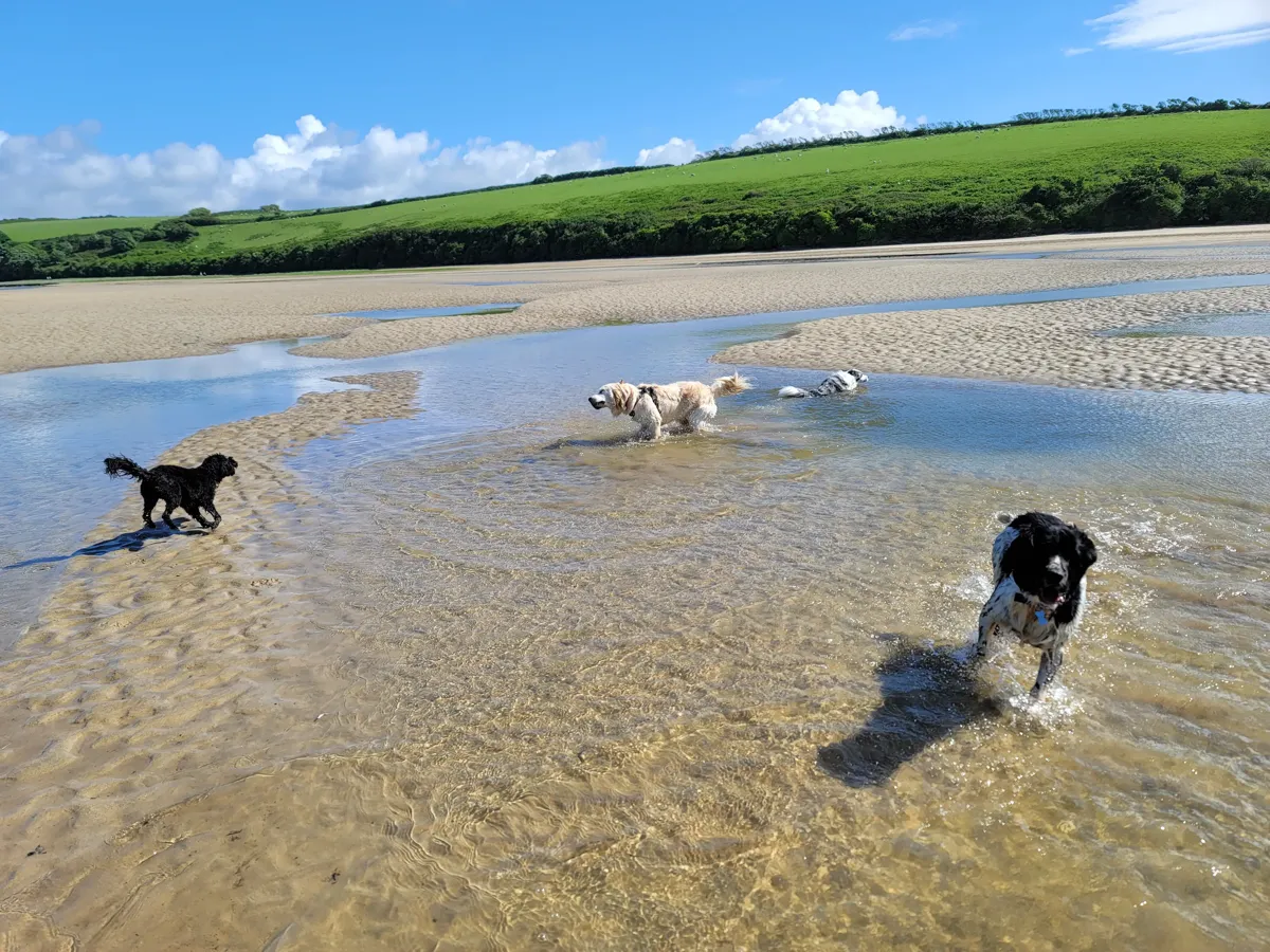 The Gannel Estuary between Newquay and Crantock